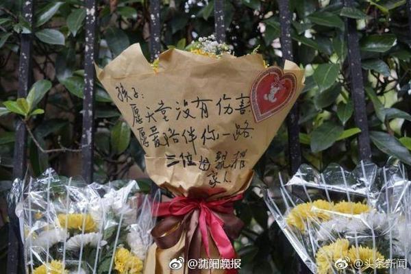 徐嘉敏赛后向河南远征球迷谢场，博主：终于释放了积累两年的压力