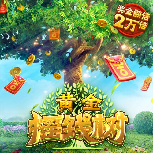 私密视频播放器安卓版